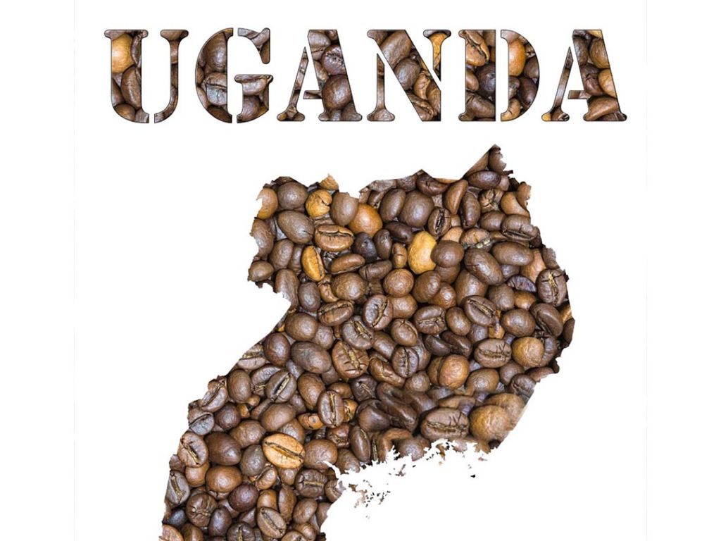 Coffee from Uganda